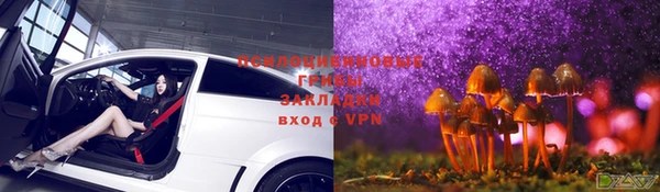стаф Богородицк