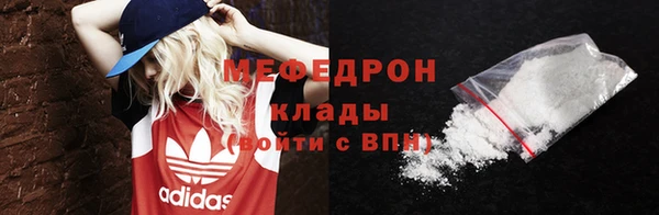 крисы Бородино