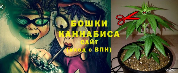 твердый Белокуриха