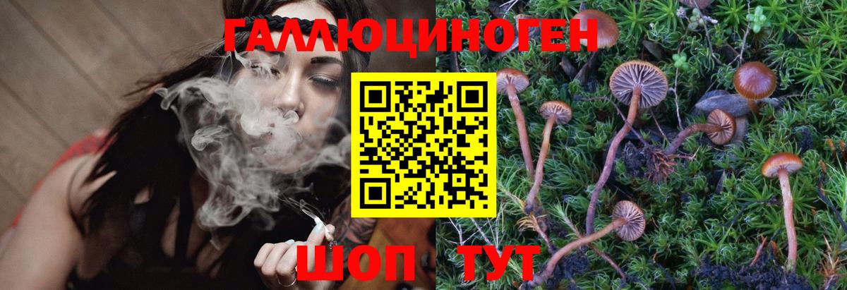 Галлюциногенные грибы MAGIC MUSHROOMS Горно-Алтайск